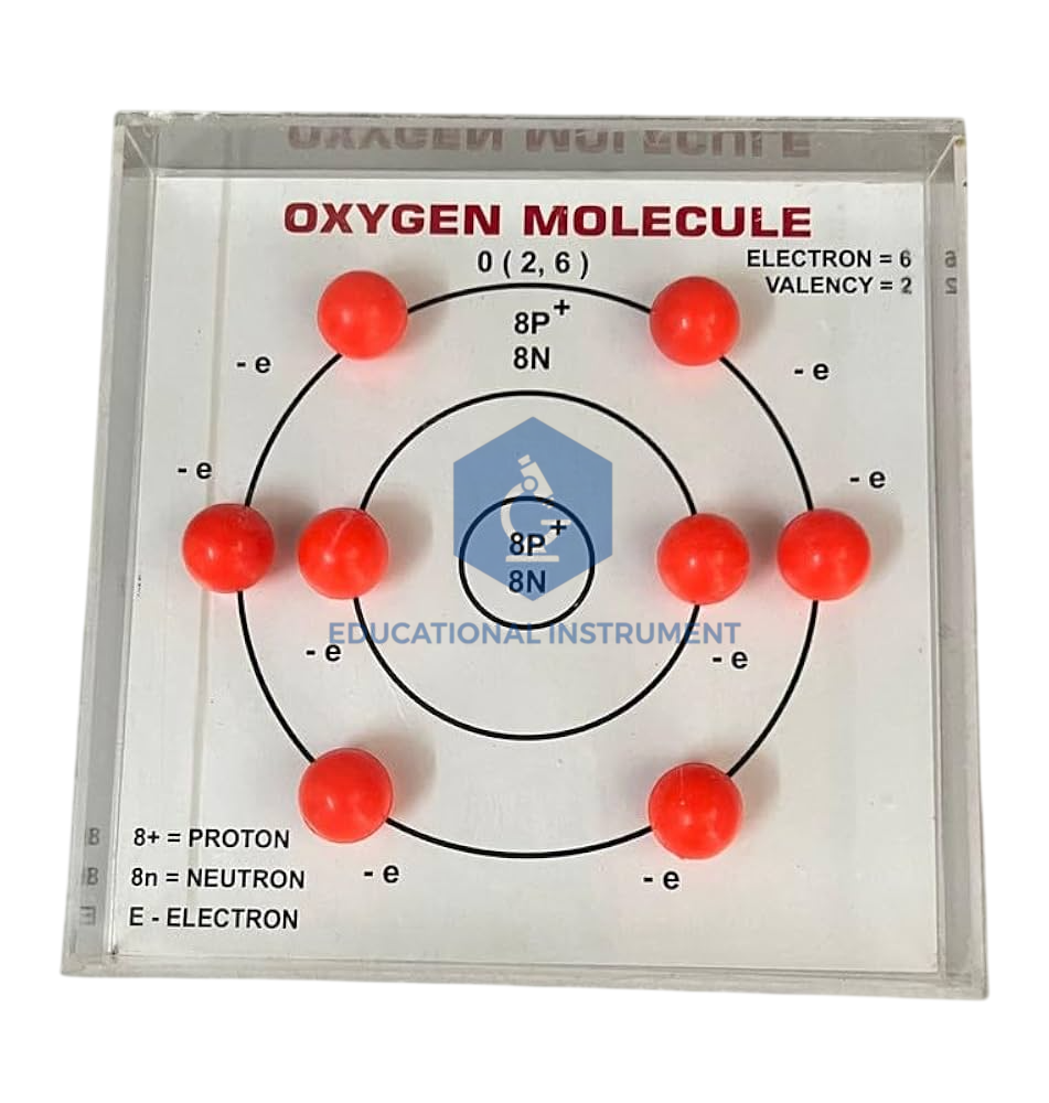 Oxygen Molecule Model
